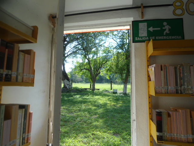 imagen2